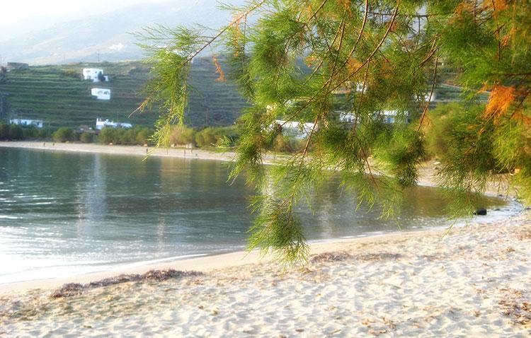 Elia Sea Holiday home Agios Romanos